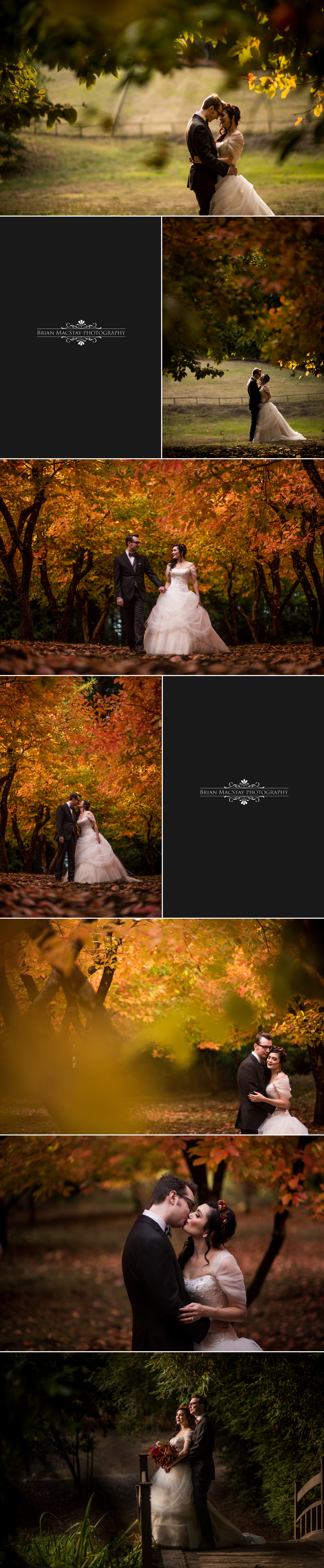 nestldown-wedding-photography-in-los-gatos-by-brian-macstay-photography-11